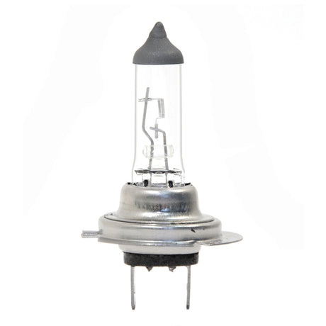 Autožárovka halogenová H7 12V 55W COMPASS