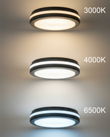 Svítidlo stropní TRIXLINE TR-202NS 20W