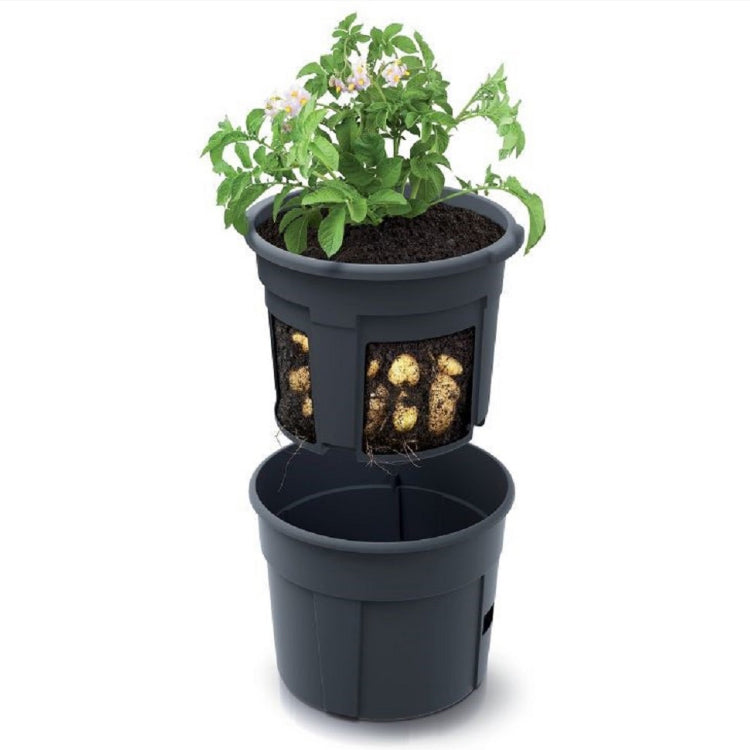 Květináč na pěstování brambor POTATO GROWER antracit 29,5cm