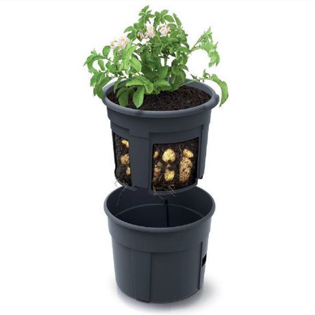 Květináč na pěstování brambor POTATO GROWER antracit 39,2cm