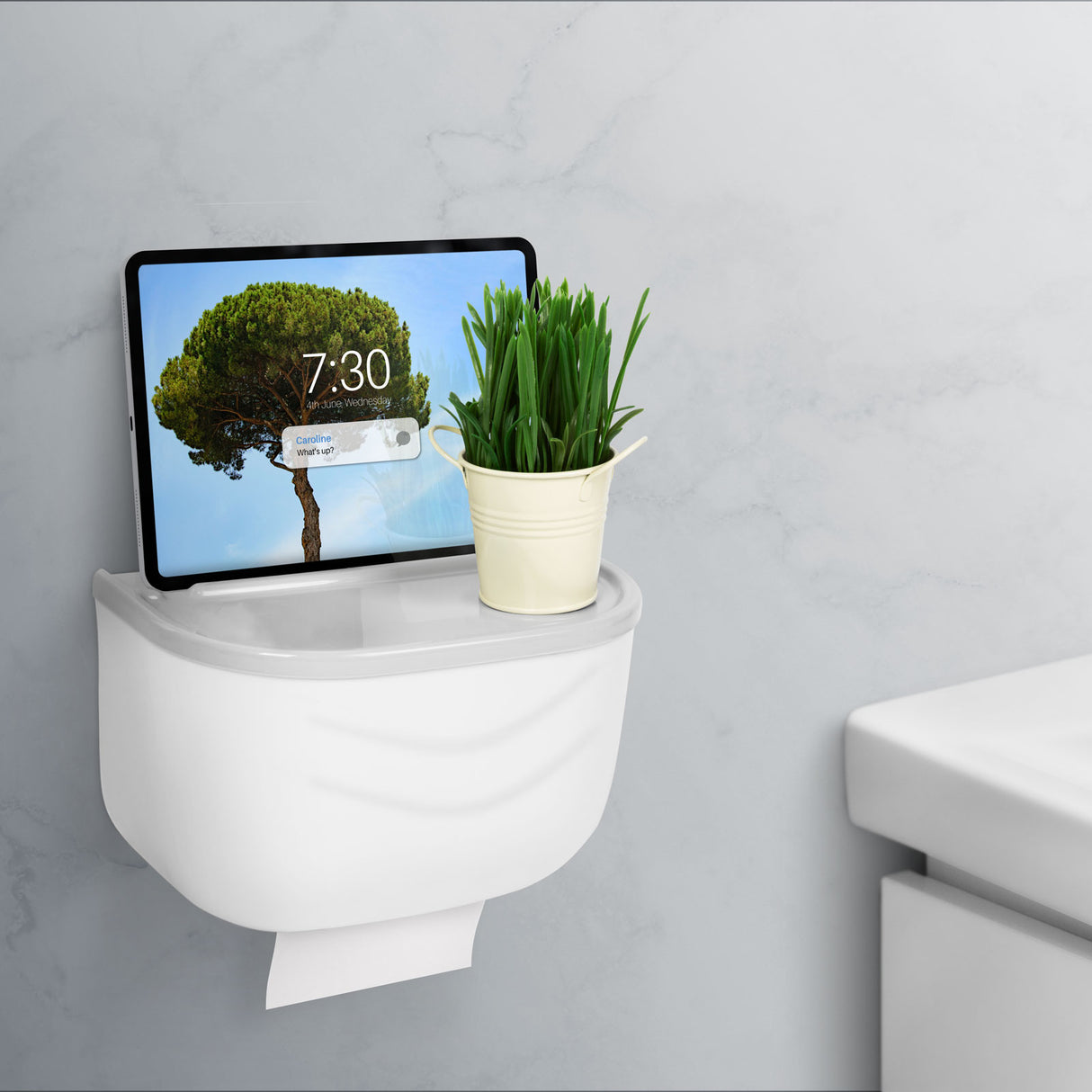 Skříňka na toaletní papír BEWELLO BW3002