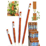 Tyč 45mm/150cm STREND PRO GreenGarden Coco kokosová