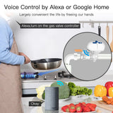 Smart motorizovaný zavírač ventilu MOES WV-QY-EU Water Valve WiFi Tuya