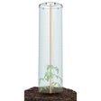 Sada na pěstování rajčat TOMATO GROWER CAP 38,5cm