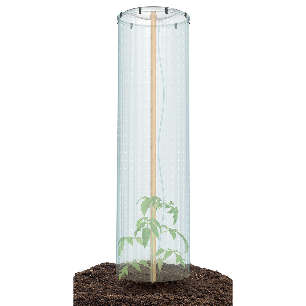 Sada na pěstování rajčat TOMATO GROWER CAP 38,5cm