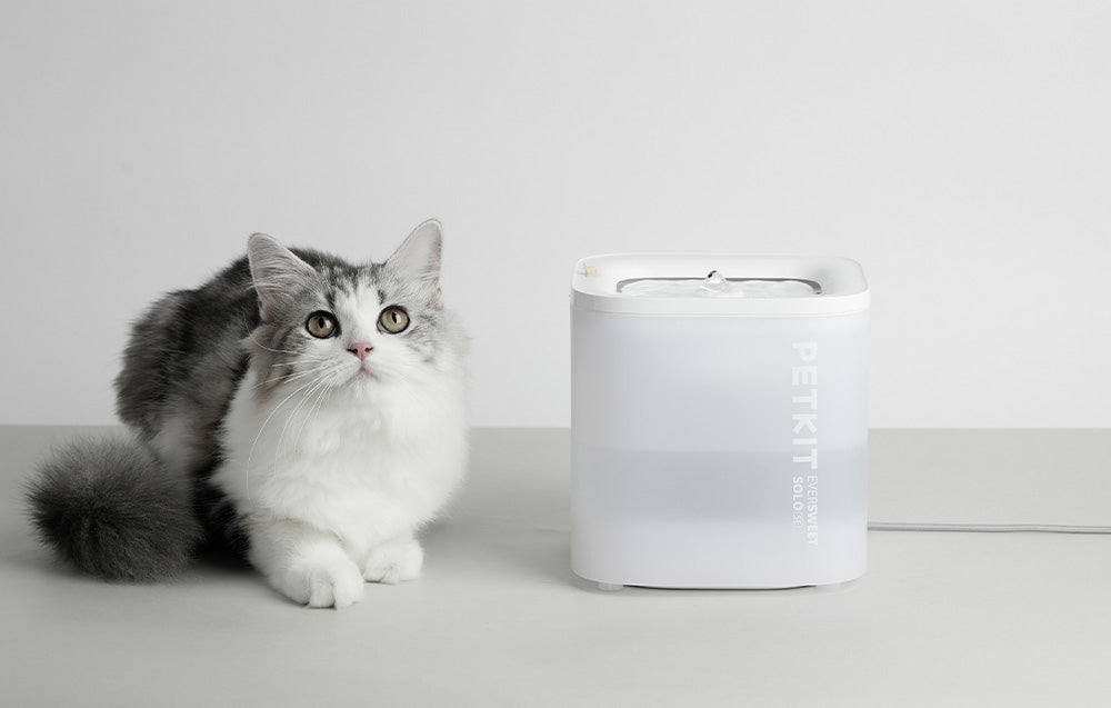 Automat na vodu PETKIT Eversweet Solo SE