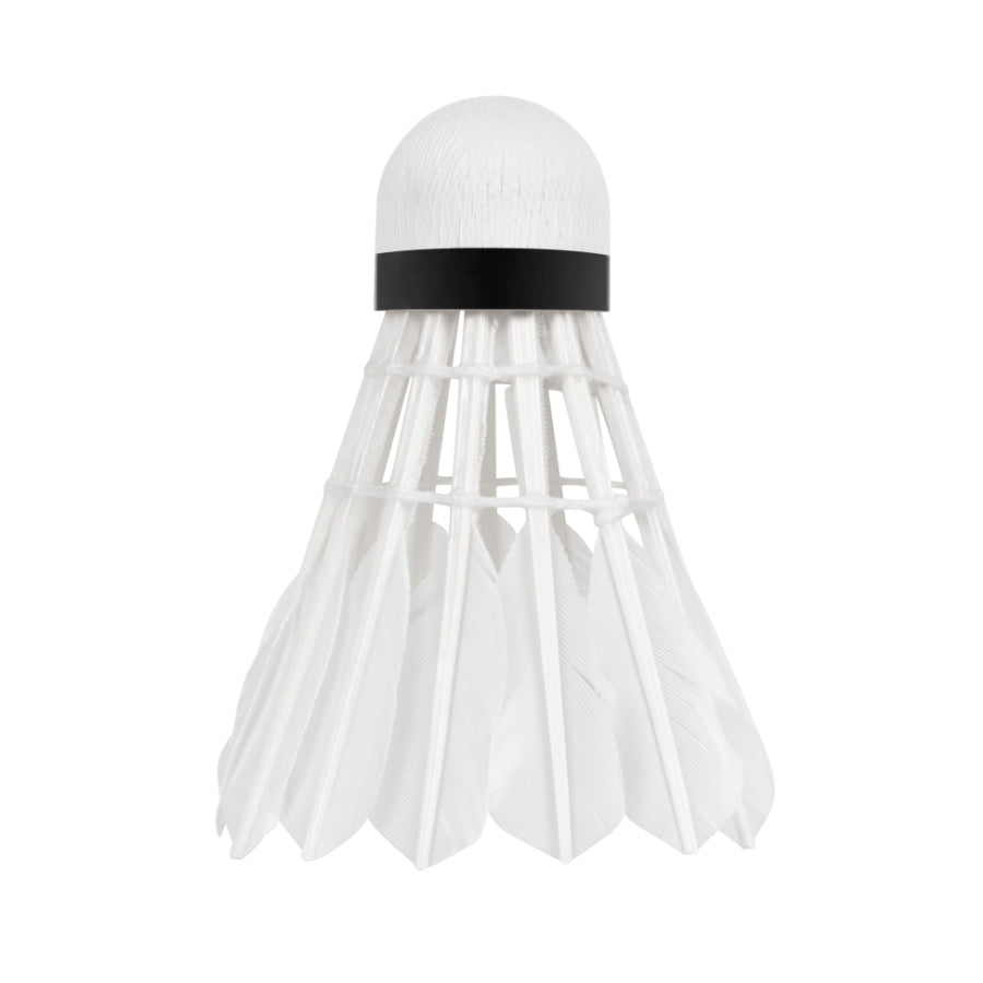 Míčky na badminton REBEL RBA-4103