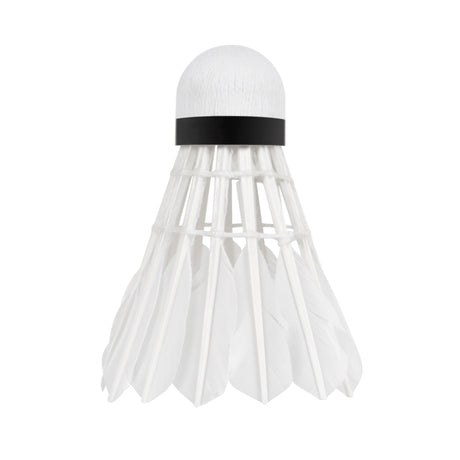Míčky na badminton REBEL RBA-4103