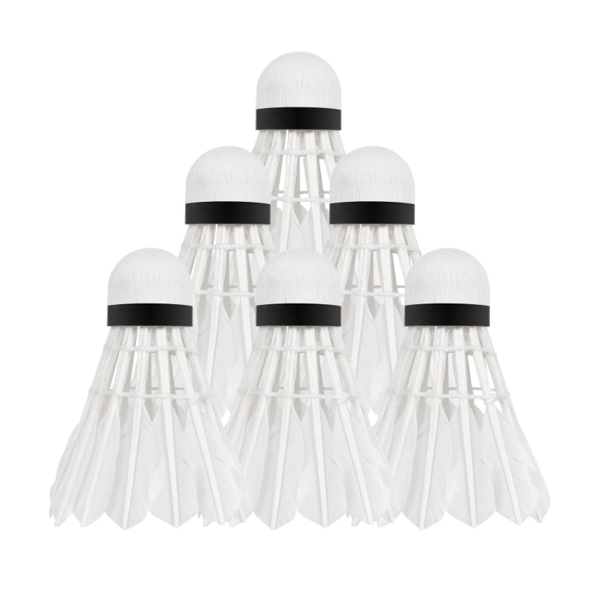 Míčky na badminton REBEL RBA-4103