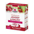 Hnojivo pro jahody a maliny ROSTETO 1kg s čedičovou moučkou