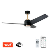Svítidlo stropní s ventilátorem IMMAX NEO 07280L Lite Beauty WiFi Tuya