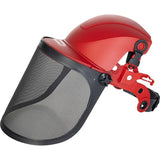 Štít celoobličejový s chrániči sluchu Safetyco 313927