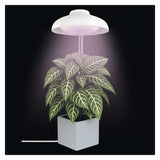 Lampa pěstební EMOS Z7901 Grow 5W