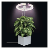 Lampa pěstební EMOS Z7902 Grow 8W