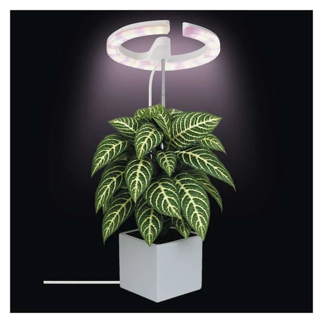 Lampa pěstební EMOS Z7902 Grow 8W