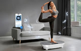 Vibrační plošina MERACH MR-2533W1-EU