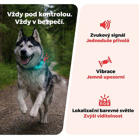 GPS lokátor pro psy DOGTRACE DOG GPS ultra
