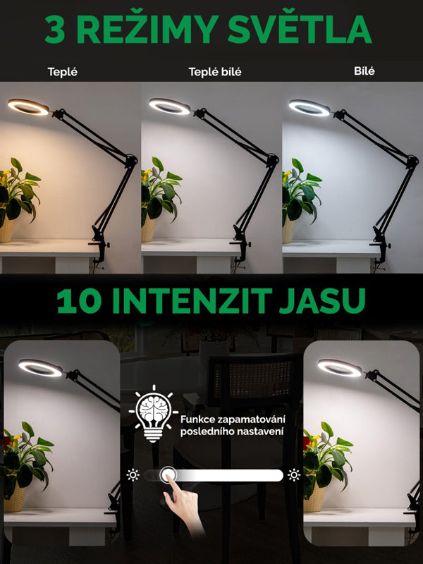 Lupa stolní IMMAX 08977L