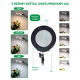 Lupa stolní IMMAX 08977L